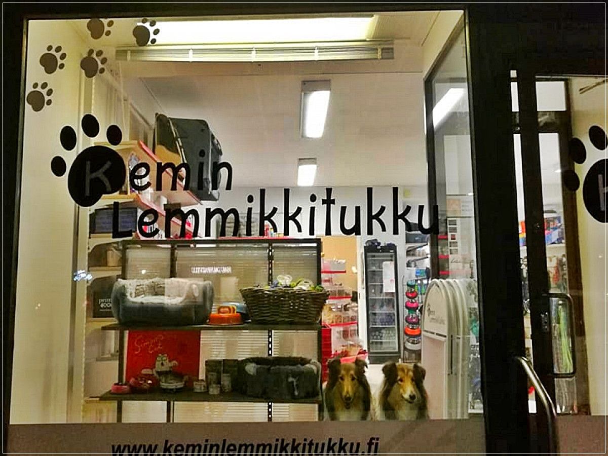Kemin Lemmikkitukku