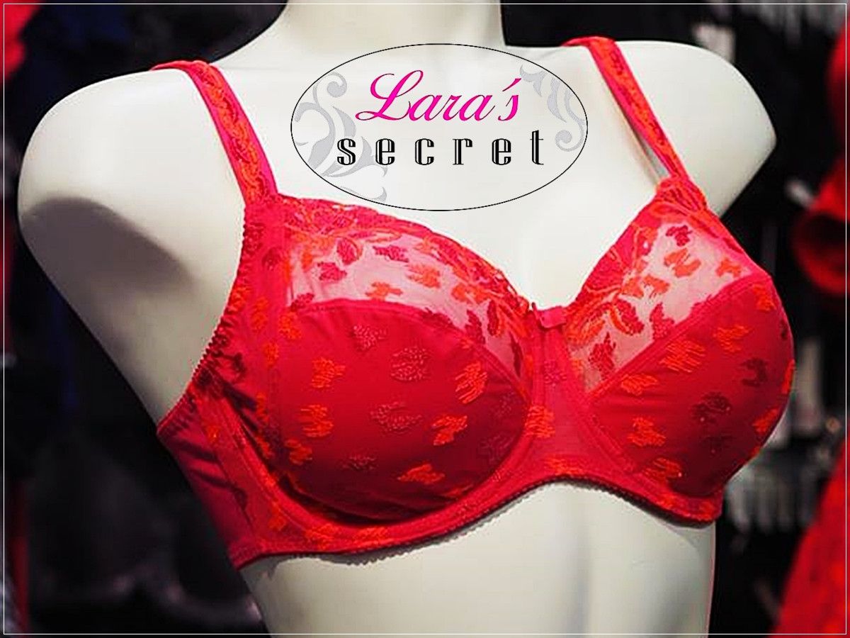 LARAS SECRET