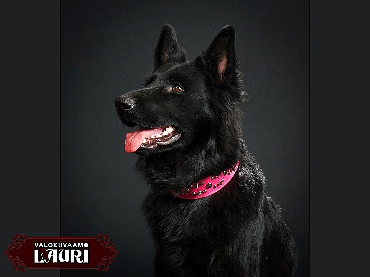 Kuva