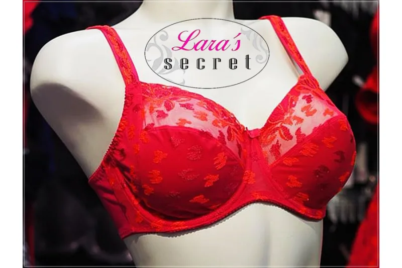 LARAS SECRET